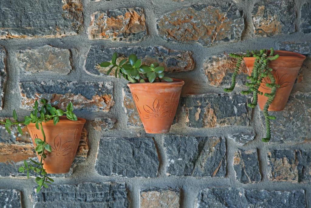 kalo nero apartments - staousa 15